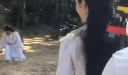 吃瓜群众女版背心,揭秘女版背心背后的时尚魅力