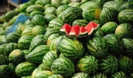 吃瓜篓子胖吗,揭秘瓜果零食与体重管理的微妙关系