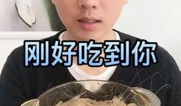 瓜哥吃瓜试吃视频大全,视频大全带你尝遍各式美味瓜果